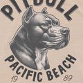 Футболка чоловіча Pitbull Pacyfic ultra light sand 8