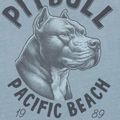 Футболка чоловіча Pitbull Pacyfic blue 5
