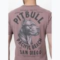 Футболка чоловіча Pitbull Pacyfic dusty burgundy 3