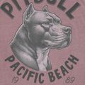 Футболка чоловіча Pitbull Pacyfic dusty burgundy 5