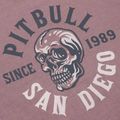 Футболка чоловіча Pitbull Shkull Logo dusty burgundy 3