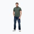 Футболка поло чоловіча Pitbull Washed Polo sage green 2