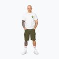 Футболка чоловіча Pitbull BJJ FIGHT DVSN white 2