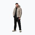 Чоловіча зимова куртка Pitbull Airway 4 Padded Hooded pale sand 2