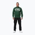 Кофта чоловіча Pitbull Norton Crewneck green 2