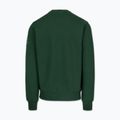 Кофта чоловіча Pitbull Norton Crewneck green 5