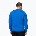 Чоловічий світшот Pitbull Norton Crewneck azure blue 3