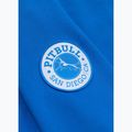 Чоловічий світшот Pitbull Norton Crewneck azure blue 8