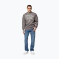 Кофта чоловіча Pitbull So Cal Crewneck taupe 2