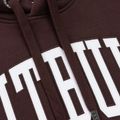 Кофта чоловіча Pitbull Norton Hooded dark burgundy 6
