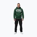 Кофта чоловіча Pitbull Norton Hooded hunter green 2