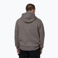 Кофта чоловіча Pitbull So Cal Hooded taupe 3