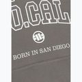 Кофта чоловіча Pitbull So Cal Hooded taupe 8