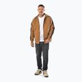 Кофта чоловіча Pitbull San Diego Ca Hooded Zip honey yellow 4