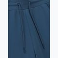 Чоловічі штани Pitbull Sampson Track Pants petrol blue 6