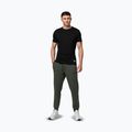 Чоловічі штани Pitbull Sampson Track Pants old green 2