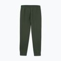 Чоловічі штани Pitbull Sampson Track Pants old green 5