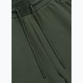 Чоловічі штани Pitbull Sampson Track Pants old green 6