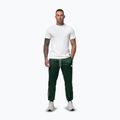 Штани чоловічі Pitbull Trackpants Tape Logo Terry Group bottle green 2