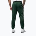 Штани чоловічі Pitbull Trackpants Tape Logo Terry Group bottle green 3