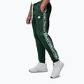 Чоловічі штани Pitbull Trackpants Tape Logo Terry Group bottle green 5