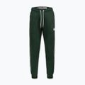 Чоловічі штани Pitbull Trackpants Tape Logo Terry Group bottle green 6