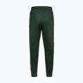 Штани чоловічі Pitbull Trackpants Tape Logo Terry Group bottle green 7