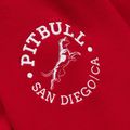 Кофта жіноча Pitbull Fiora Hooded wild red 8