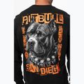 Кофта чоловіча Pitbull Crewneck Blacky black 4