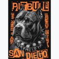 Кофта чоловіча Pitbull Crewneck Blacky black 7