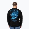 Чоловічий світшот Pitbull Crewneck Midnight black 3