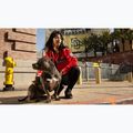 Куртка жіноча Pitbull Angela San Diego Hooded Varsity fluo/red 19
