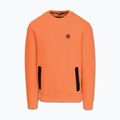 Кофта чоловіча Pitbull Dogwood Crewneck Sweatshirt fluo orange 4