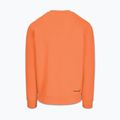 Кофта чоловіча Pitbull Dogwood Crewneck Sweatshirt fluo orange 5