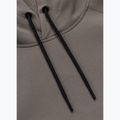 Кофта чоловіча Pitbull Dogwood Hooded Sweatshirt taupe 6