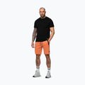 Шорти чоловічі Pitbull Dogwood Sport fluo orange 4