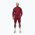 Кофта чоловіча Pitbull Sampson Crewneck Sweatshirt burgundy 2