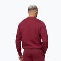 Кофта чоловіча Pitbull Sampson Crewneck Sweatshirt burgundy 3