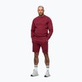 Кофта чоловіча Pitbull Sampson Crewneck Sweatshirt burgundy 4