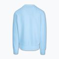 Кофта чоловіча Pitbull Sampson Crewneck Sweatshirt sky blue 5