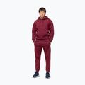Кофта чоловіча Pitbull Sampson Hooded Sweatshirt burgundy 2