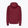 Кофта чоловіча Pitbull Sampson Hooded Zip Sweatshirt burgundy 6