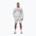 Кофта чоловіча Pitbull Badger Crewneck grey/melange 2