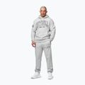 Кофта чоловіча Pitbull Badger Hooded grey/melange 2