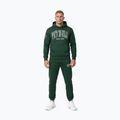 Кофта чоловіча Pitbull Badger Hooded hunter green 2