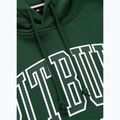 Кофта чоловіча Pitbull Badger Hooded hunter green 5