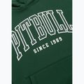 Кофта чоловіча Pitbull Badger Hooded hunter green 8