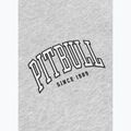 Кофта чоловіча Pitbull Badger Hooded Zip grey/melange 11