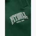 Штани чоловічі Pitbull Badger Track hunter green 9