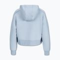 Кофта жіноча Pitbull Discovery Hooded frosted blue 6